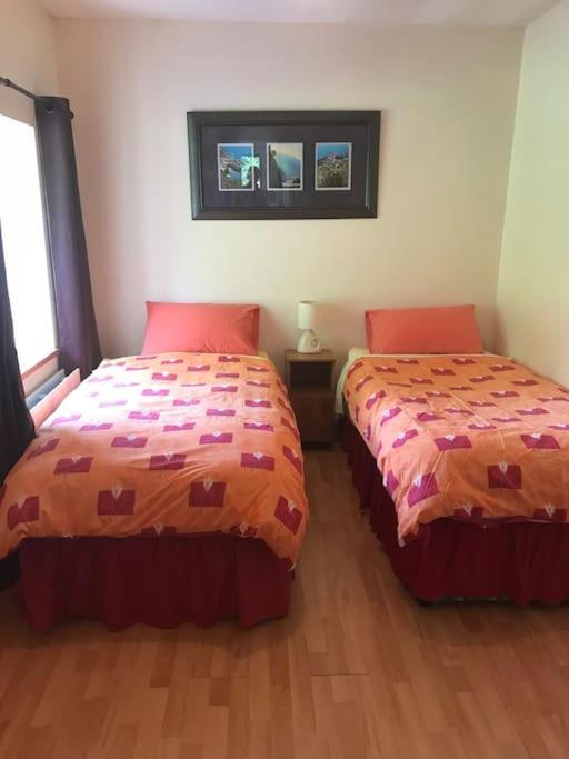 Castlegregory-Seaside 2 Bedroomed Cottage Εξωτερικό φωτογραφία