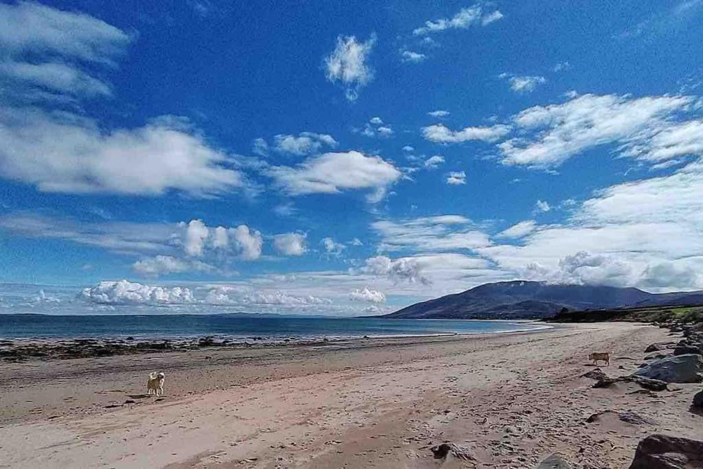 Castlegregory-Seaside 2 Bedroomed Cottage Εξωτερικό φωτογραφία